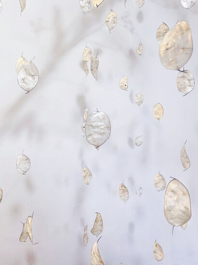 Lunaria Annua - a Sculpture & Installation Artowrk by Francesca Virginia Coppola